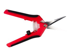 Präzisionsschere Bonsai – Exakte Schnitte für feinste Arbeiten