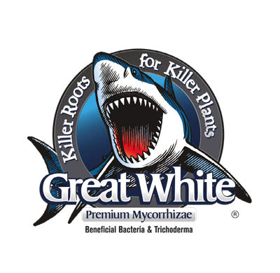 Mycorhizes de qualité supérieure Great White® : bactéries bénéfiques et trichoderma