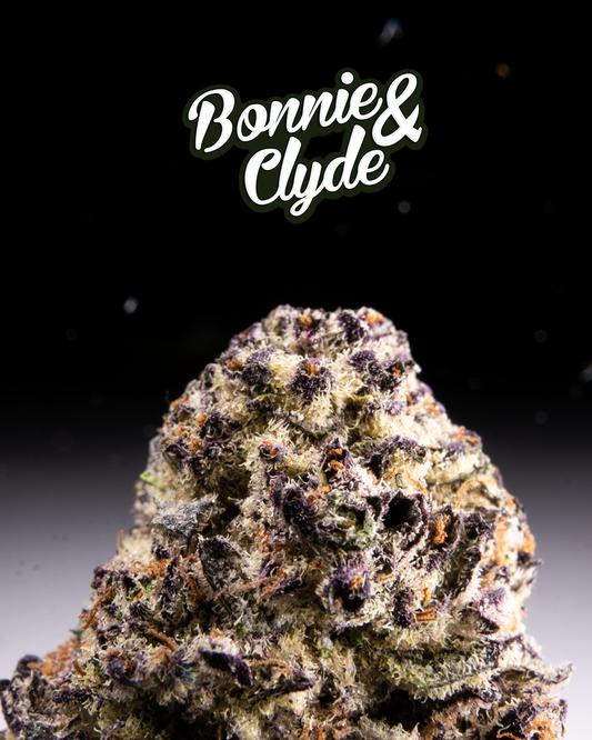 Reisen mit CBD – was ist erlaubt und worauf du achten musst