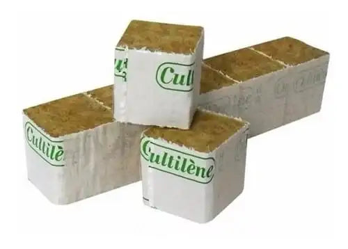 Rock wool Cultilène 77er 4x4cm 1'386 pcs.