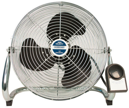 Fan Widmer 