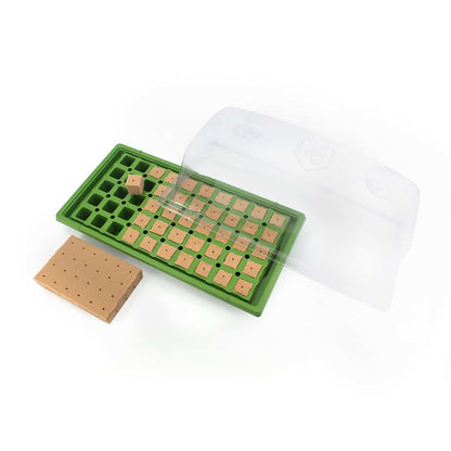 FloraFlex® – FloraFoam Incubator Plugs 64pcs