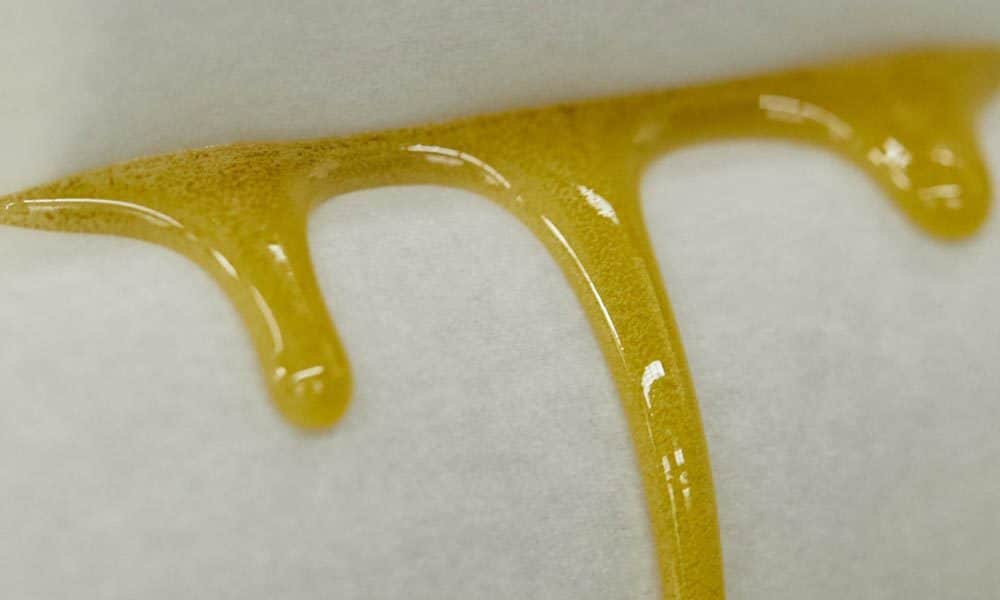 Rosin Paper – Hochwertiges Presspapier für Rosinpressen & Indoor Grow