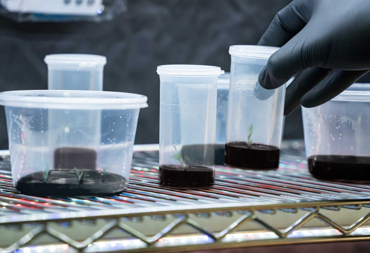 Athena Tissue Culture Kit