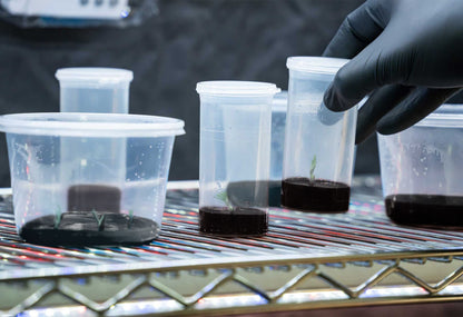 Athena Tissue Culture Kit